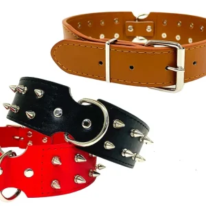 ASST. COLOURS LARGE STUDDED DOG COLLAR